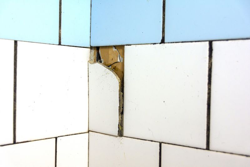 Seasonal Tile Repairs